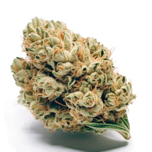 Jack Herer cannabis strain with frosty resin-coated buds, showcasing a sativa-dominant hybrid known for uplifting effects and earthy, piney aroma.